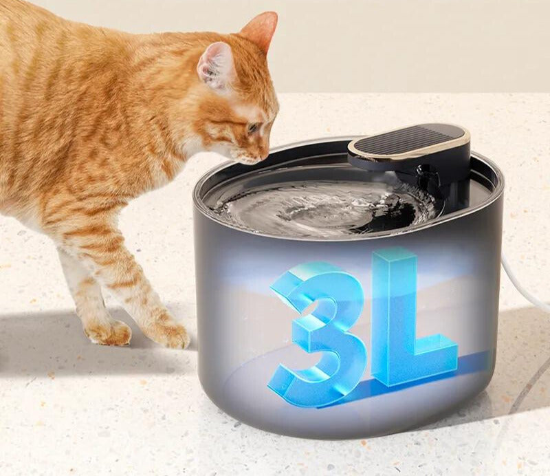 Bebedouro para Gatos tipo Fonte